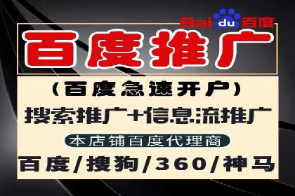 某电商平台的SEM优化全流程案例分享